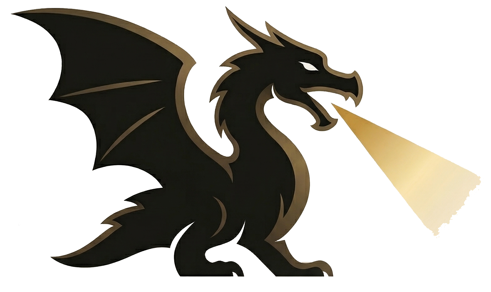 DragonLight Ventures logo